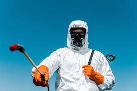 Professional Pest Control in Marmora, NJ